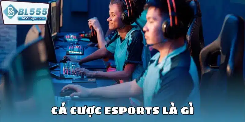 esport_bl555 