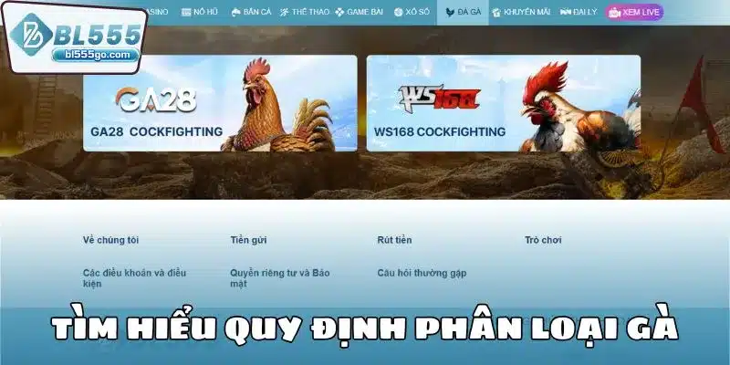 da-ga-ws168-tim-hieu